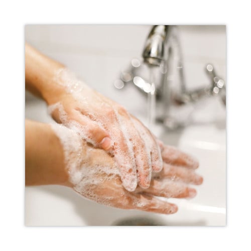 Dial Basics MP Free Liquid Hand Soap Refill, Unscented, 1 L, 8/Carton (33821)