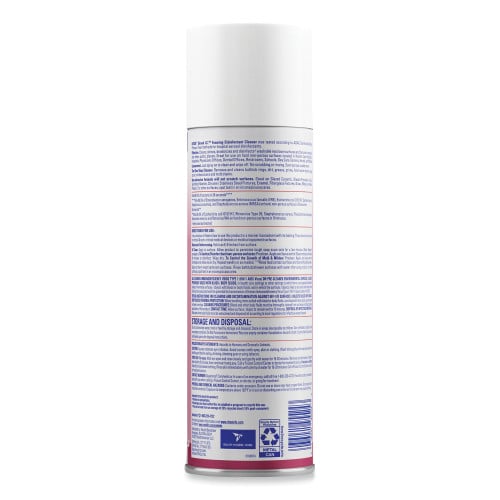 Lysol Foaming Disinfectant Cleaner, 24 oz Aerosol Spray, 12/Carton (95524CT)